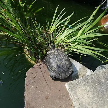 Maison D'hote Avec Jardin