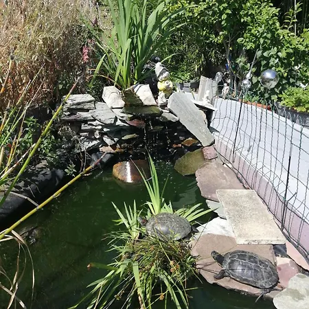 بيت ضيافة Maison D'hote Avec Jardin *