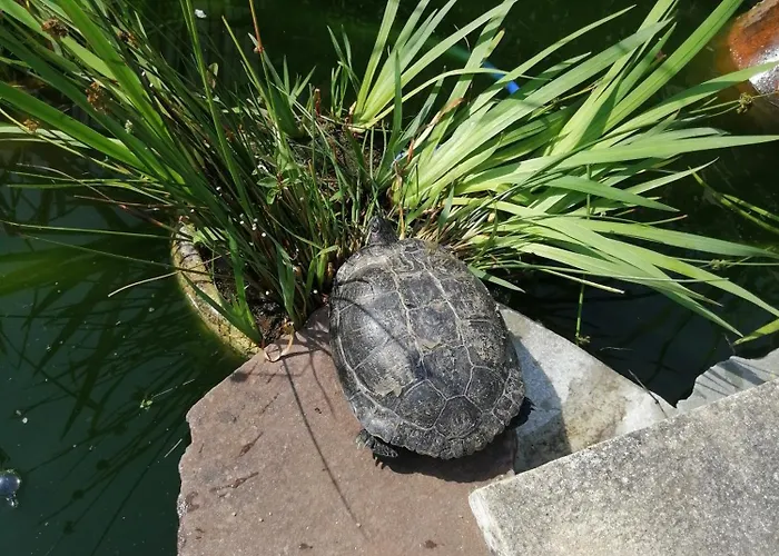 Maison D'hôte Avec Jardin